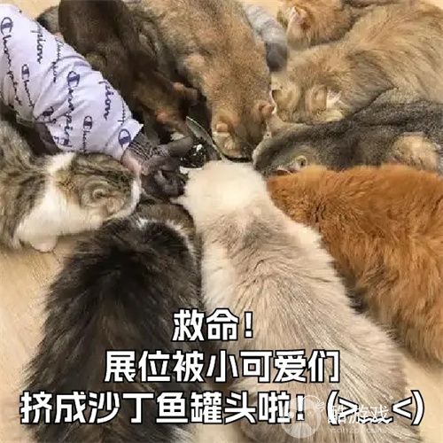 【劲爆官宣】 CJ Arena官方主线活动全面升级2.0!2025 ChinaJoy × 支付宝蓝花火战略合作启动!