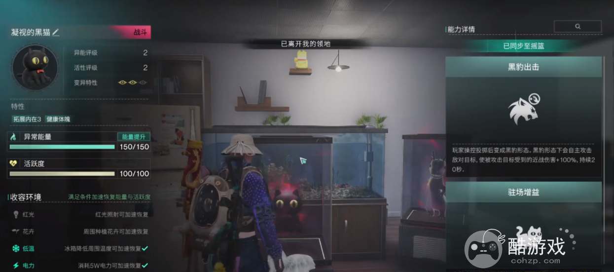 七日世界凝视的黑猫收容攻略