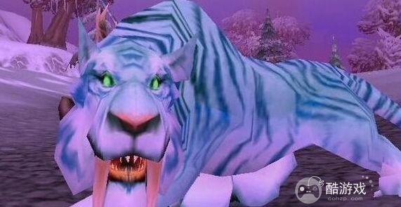 魔兽世界wlk猎人宝宝选择推荐2 魔兽世界wlk猎人宝宝选择推荐2