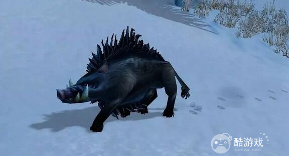 魔兽世界wlk猎人宝宝选择推荐4 魔兽世界wlk猎人宝宝选择推荐4