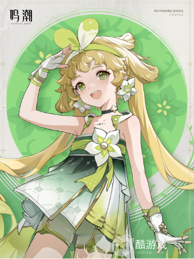 鸣潮露帕阵容搭配推荐1 鸣潮露帕阵容搭配推荐1